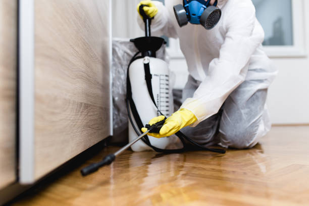 Best Affordable Pest Control Services  in Seven Lakes, NC