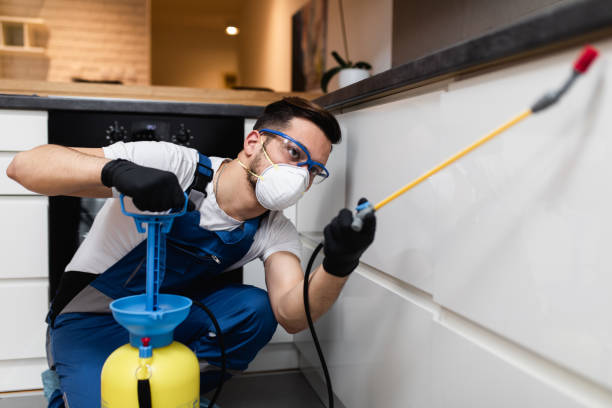 Best Insect Control  in Seven Lakes, NC