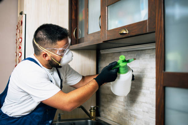 Reliable Seven Lakes, NC Pest Control Solutions