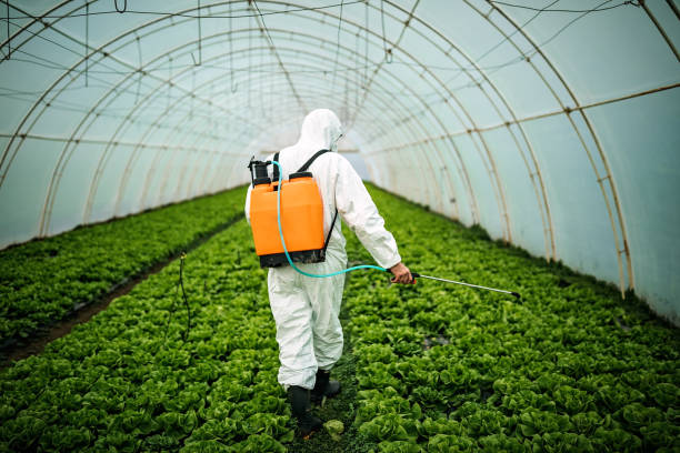 Best Pest Control Near Me  in Seven Lakes, NC