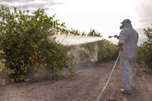 Best Residential Pest Control  in Seven Lakes, NC