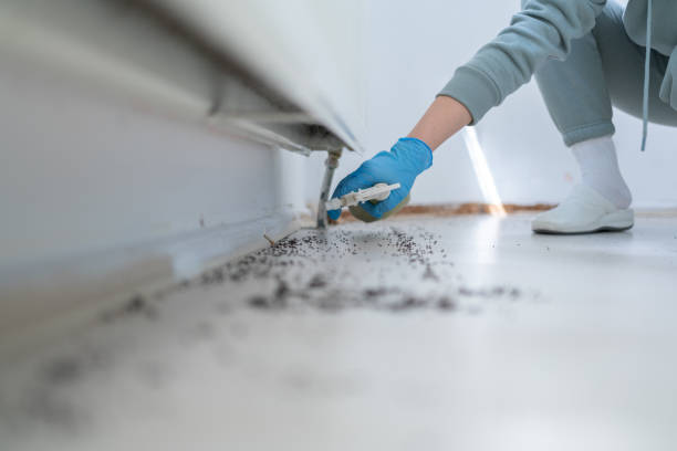 Best Emergency Pest Control  in Seven Lakes, NC