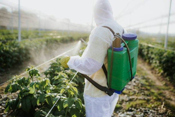 Wildlife Control Services in Seven Lakes, NC